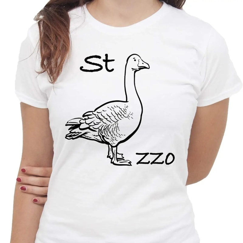 Summer Clothing Images - IMage Goose Rebus T-Shirt T-Shirt drôle